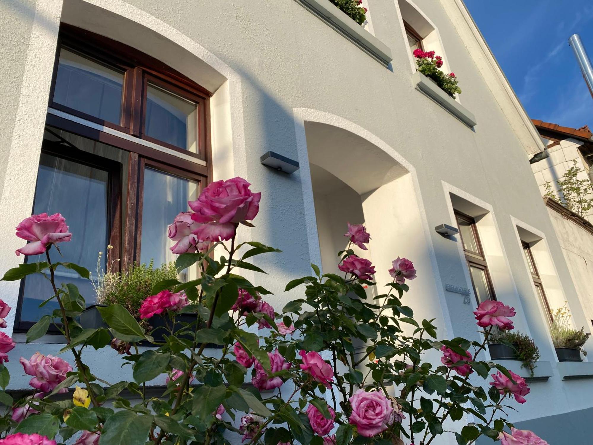 Reisekultouren Apartments Detmold Exterior photo